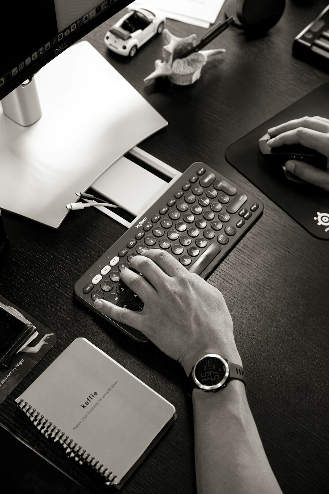 croatian programmer at desk